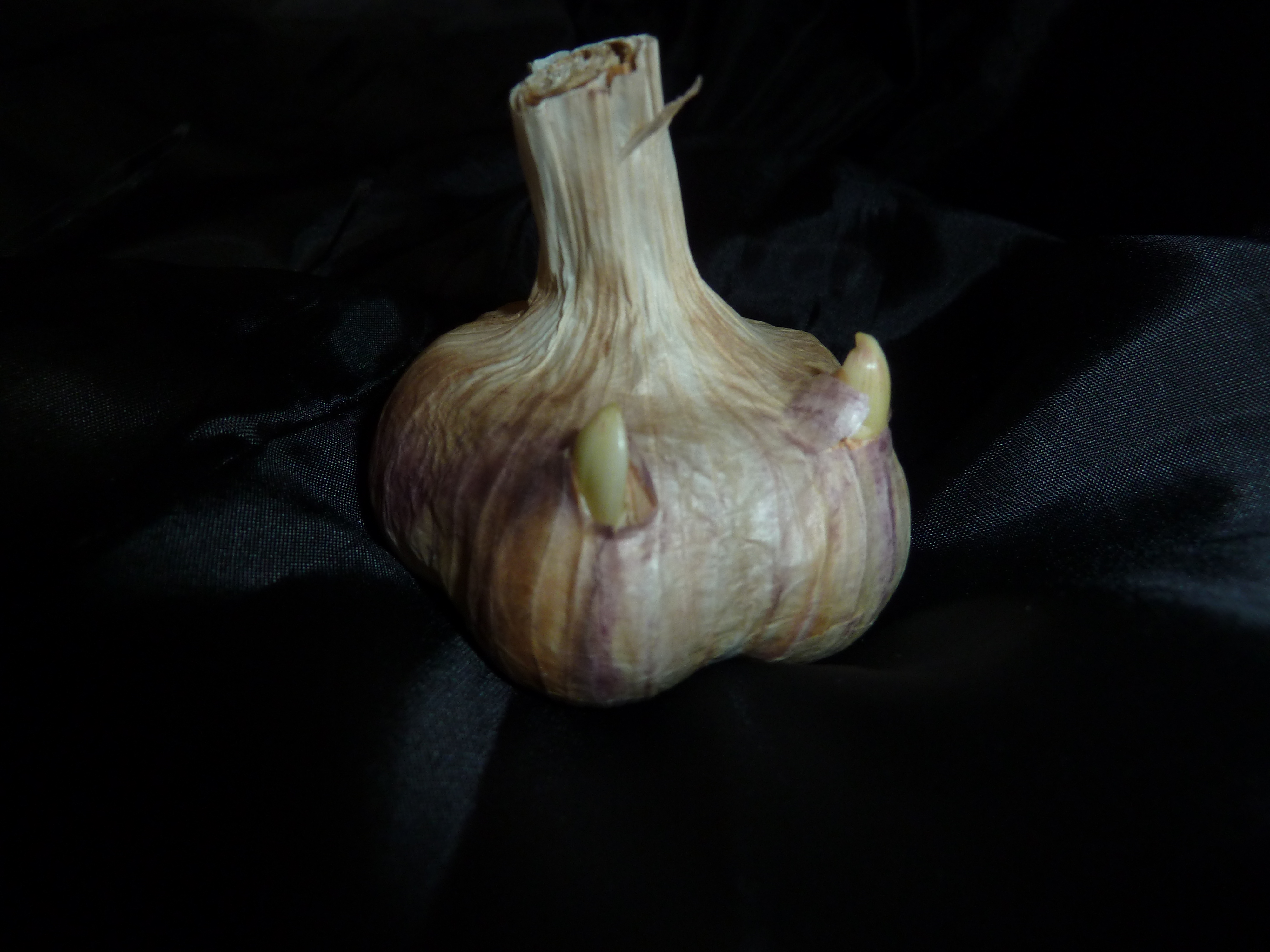 TEUFLISCH GUT - BAARER KNOBLAUCH